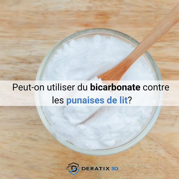 Peut-on utiliser du bicarbonate contre les punaises de lit ?