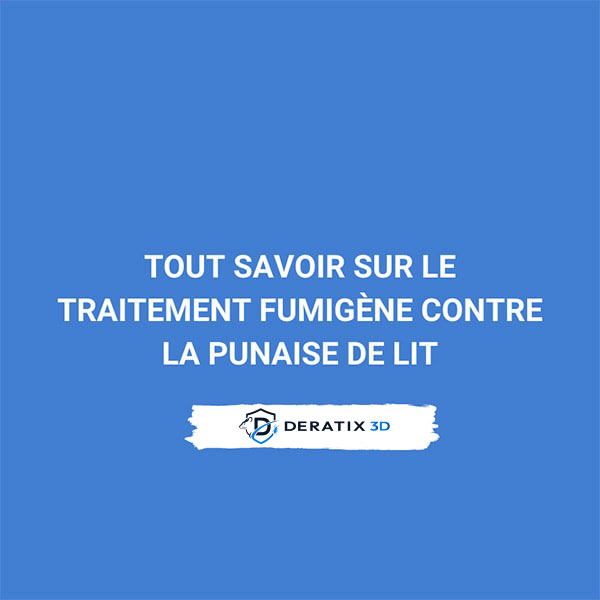 Tout savoir sur le traitement fumigène contre la punaise de lit