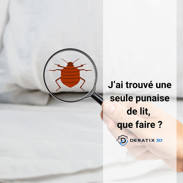 J'ai trouvé une seule punaise de lit, que faire ?