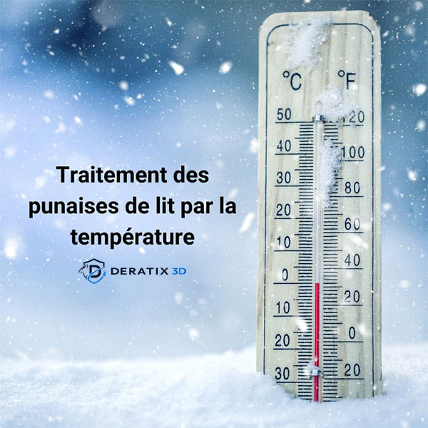 Traitement des punaises de lit par la température