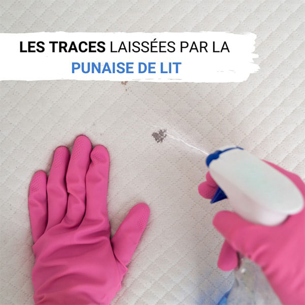 Les traces laissées par les punaises de lit