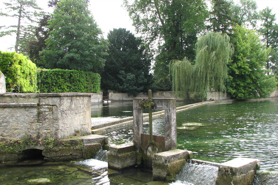 Dératisation à Argenteuil