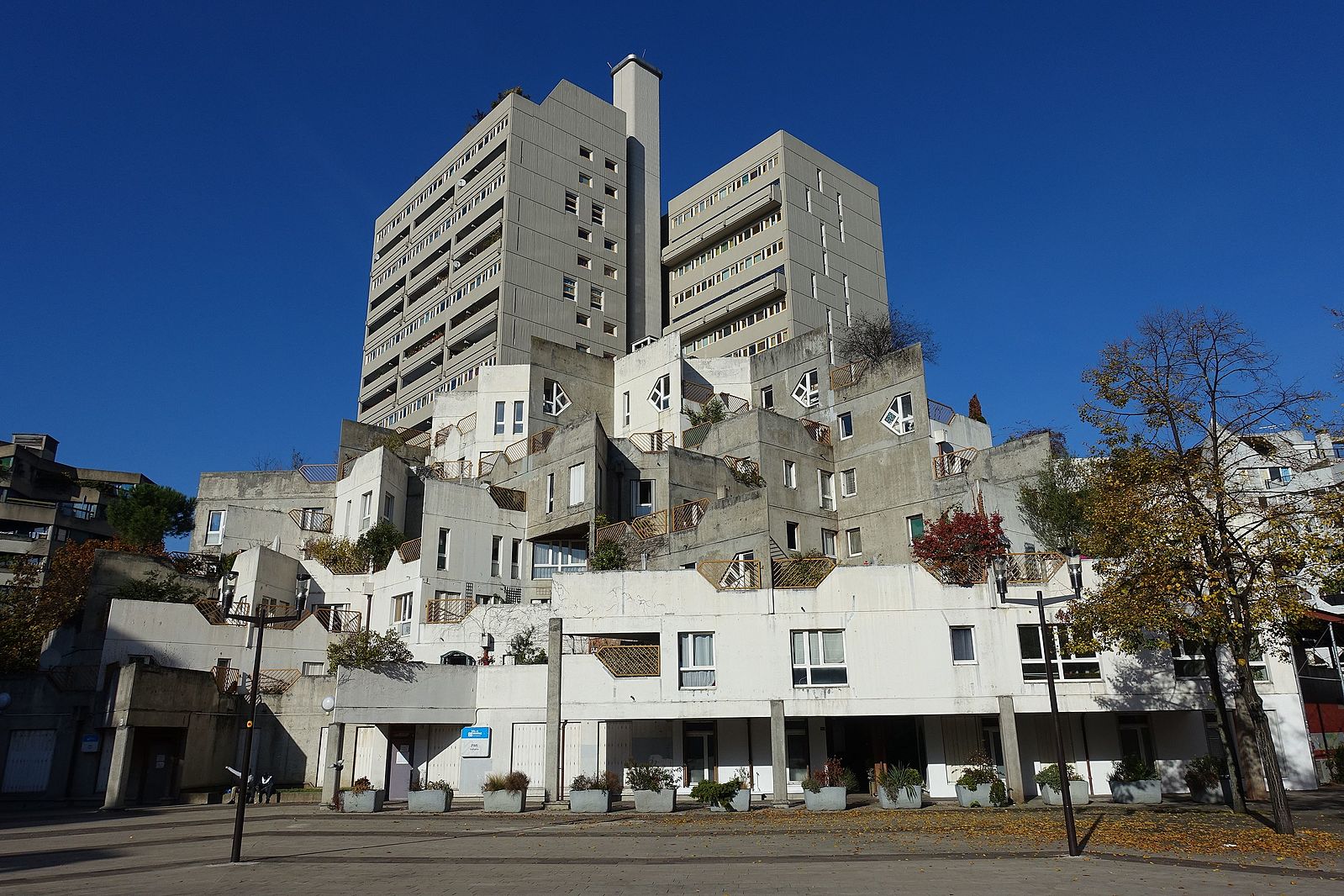 Désinsectisation à Ivry-sur-Seine